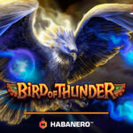 Bird Of Thunder Habanero